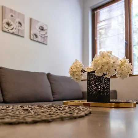 Apartman Karavelov Center *